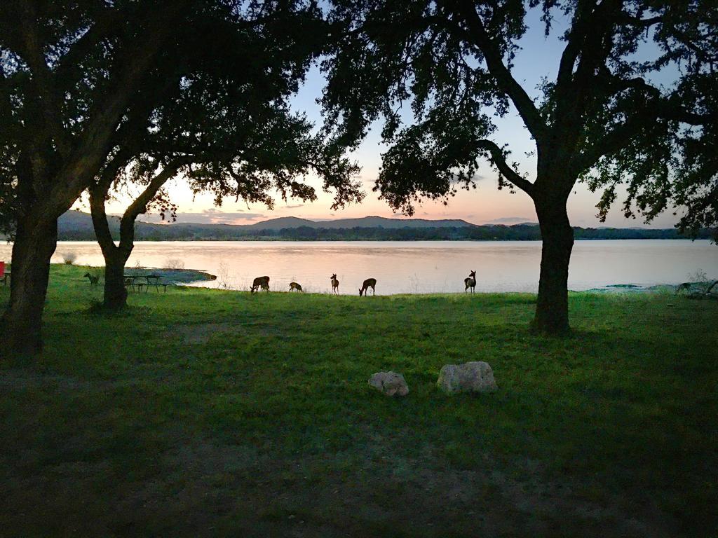 Medina Lake Camping Resort Cabin 3 Lakehills المظهر الخارجي الصورة